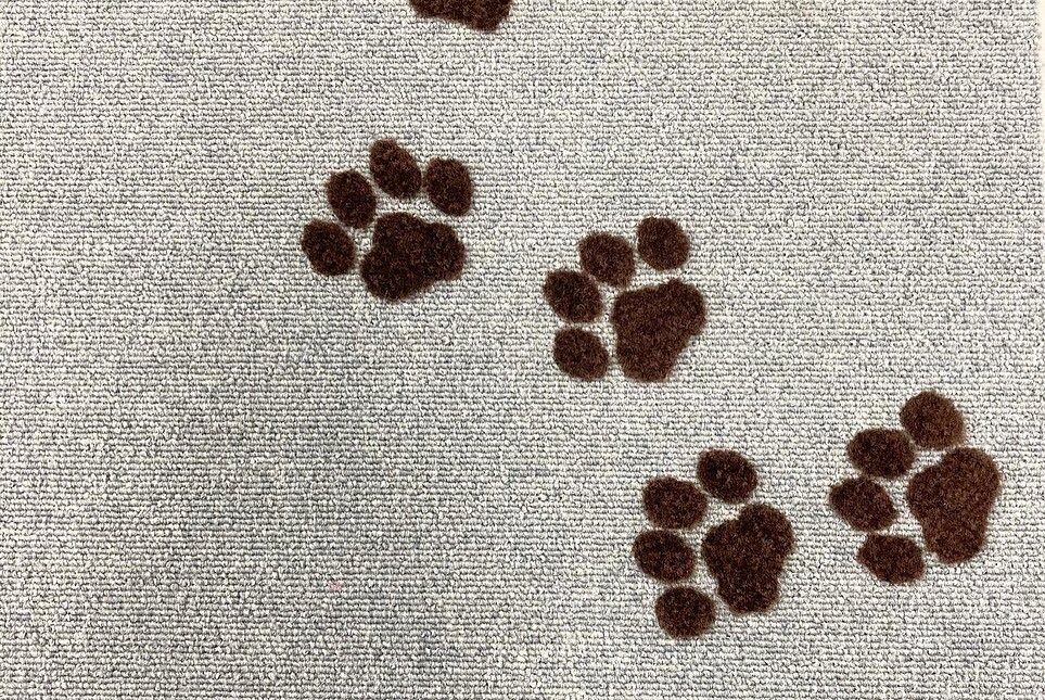  犬カフェの床をもっと可愛く！オリジナル立体カーペットで店舗の世界観を演出🐶