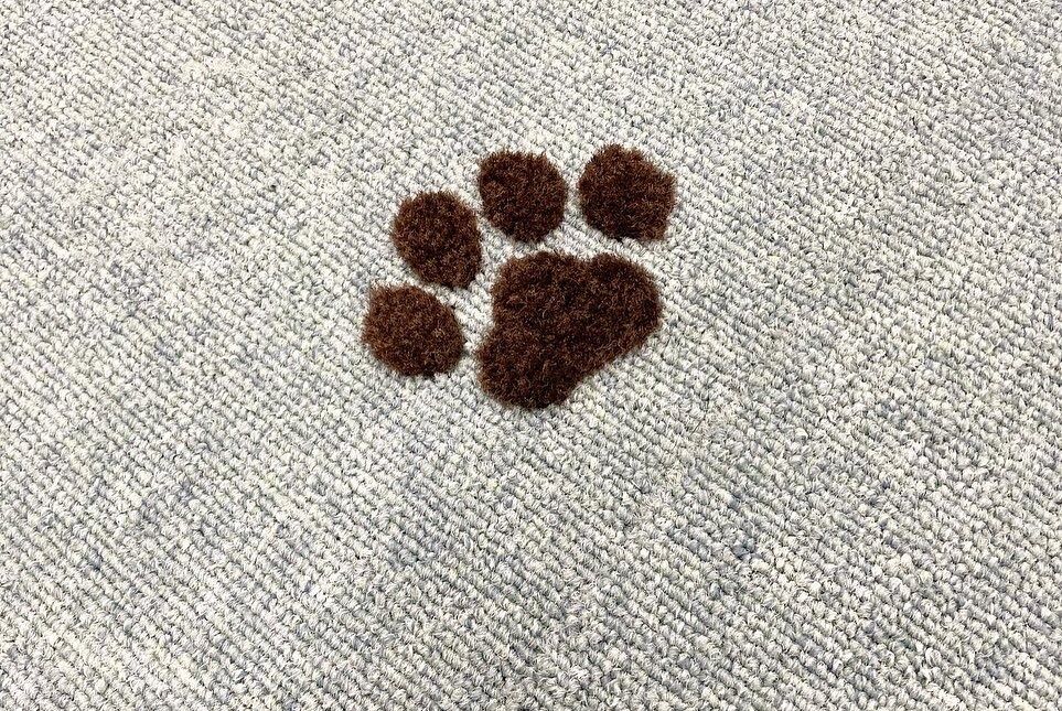 犬カフェの床をもっと可愛く！オリジナル立体カーペットで店舗の世界観を演出🐶